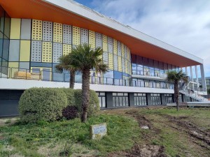 Animation immersive Bordeaux théâtre entreprise ambiance dynamique soirées professionnelles